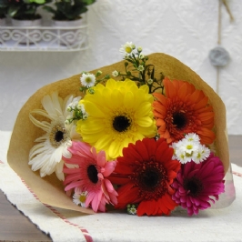 Small Mixed Gerberas in a Bunch
